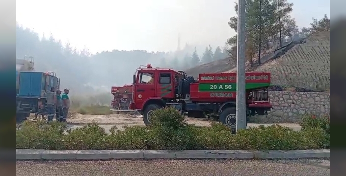 Denizli'de ormandaki yangın, hızlı müdahale ile kontrol altına alındı