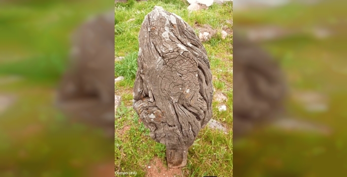 Dodurga mezarlığında 150 yıllık ardıç mezar başlıkları