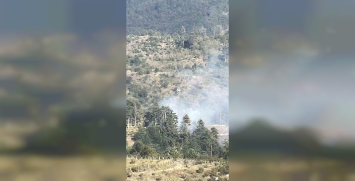 Düzce'de çıkan orman yangını kısa sürede kontrol altına alındı
