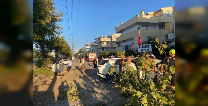 Edremit'te sabahın köründe dehşet: Otomobil ağaca çakıldı, sürücü yaralı