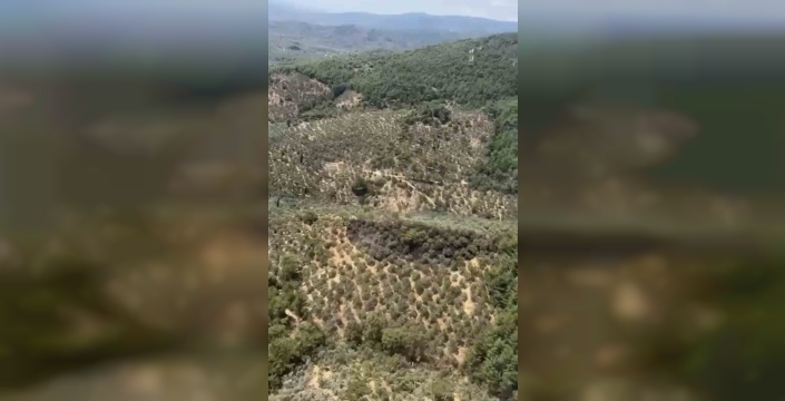 Edremit'te yangın hızlı müdahaleyle kontrol altına alındı