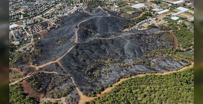 Fethiye'de çıkan orman yangını önemli yeşil alanları tahrip etti
