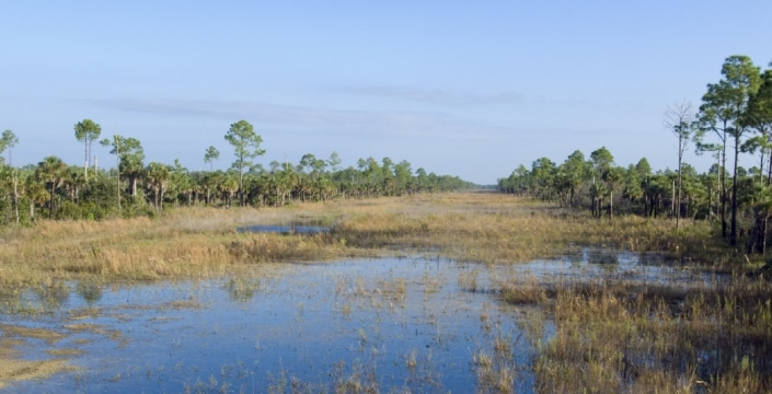 Florida'da 418 kilometrelik yol kaldırıldı, 77 kilometrelik kanal kapatıldı