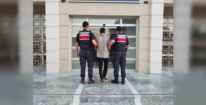 Germencik'te incir bahçesinden hırsızlık yapan kişi yakalandı