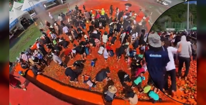 Güney Kore'de domates festivali sırasında altın yüzük arandı