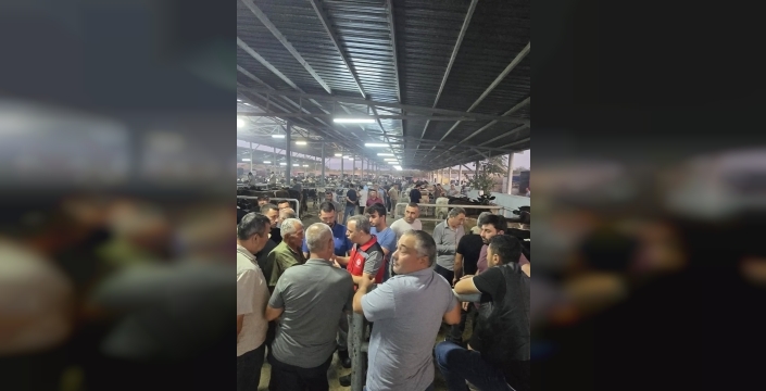 Hayvan pazarlarında küpe denetimi sıkılaştı