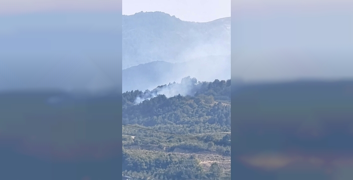 İnegöl'de orman yangını: Havadan ve karadan müdahale başladı