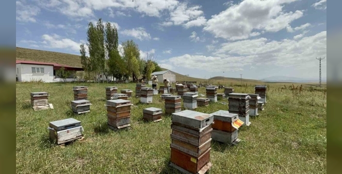 Kars bal hasadı 2 bin 500 liraya ulaştı