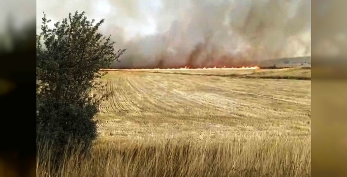 Kütahya'da anız yangını 230 dekarlık alanı etkiledi