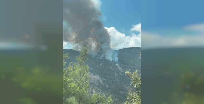 Kuyucak'taki orman yangınına 17 hava aracıyla müdahale ediliyor