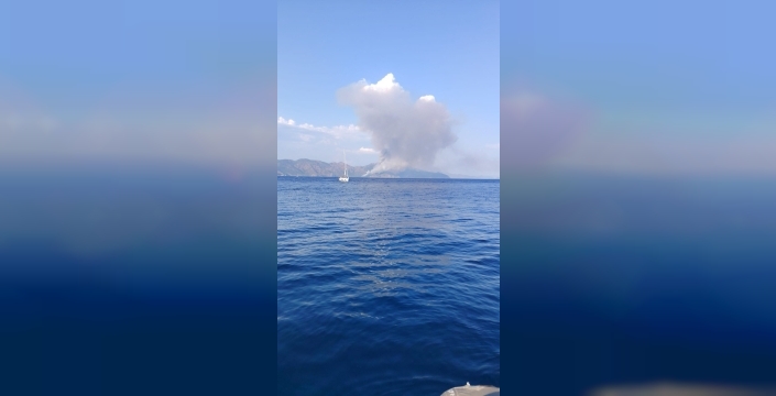 Marmaris'teki Kabakargı Koyu'nda orman yangını çıktı