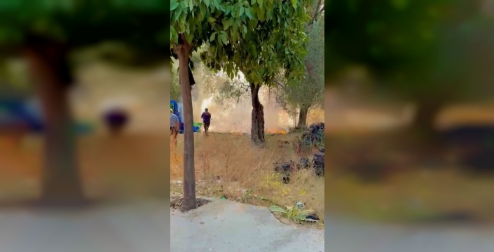 Milas'ta zeytinlik alanda çıkan yangın kontrol altına alındı