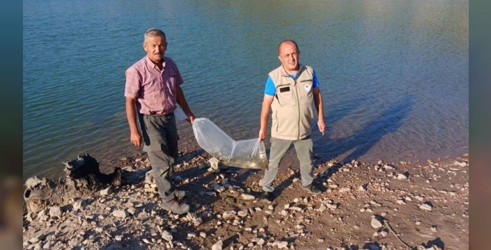 Orhaneli göletlerinde sazan yavruları bırakıldı
