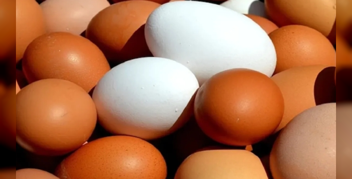 Salmonella salgını nedeniyle 1,5 milyon koli yumurta geri çağrıldı