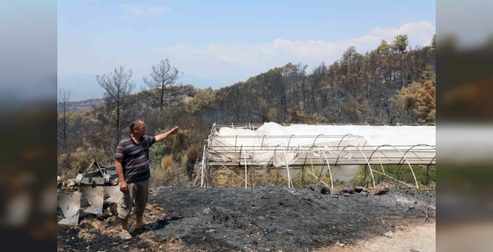 Seydikemer'de yangın sonrası yaralar sarılıyor: Üreticilere kapsamlı destek