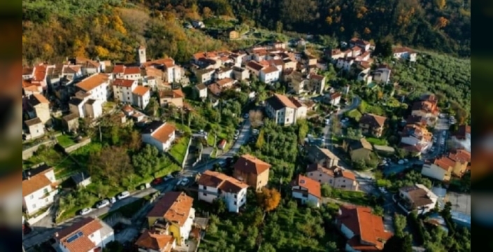 Toskana'da zeytin hasadı için gönüllü aranıyor