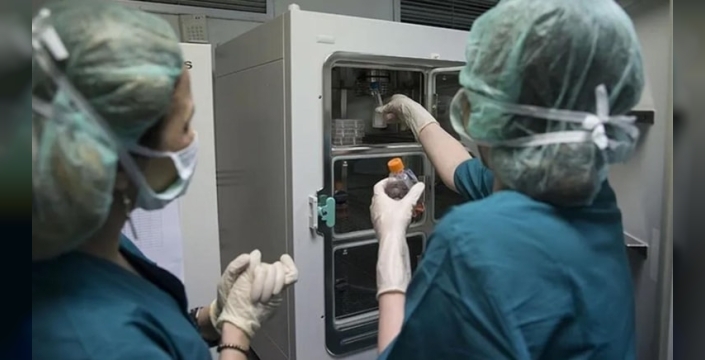 Tüp bebek tedavisinde donör skandalı: 30 çocuk farklı genetik kökenden çıktı