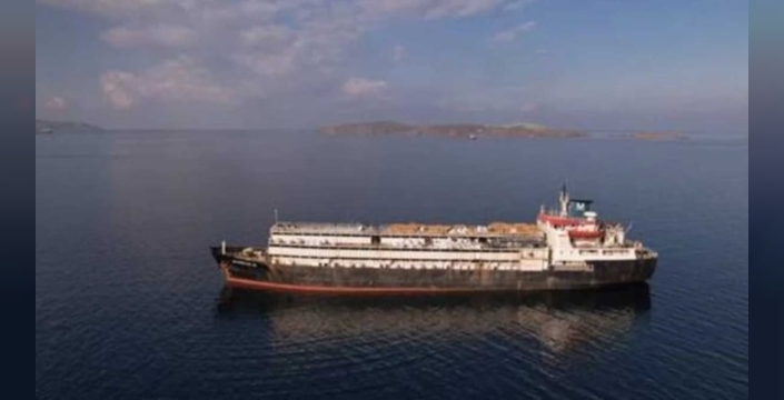 Türkiye'den dönen 3 bin hayvanın sırrı aylar sonra çözüldü