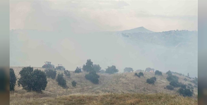 Uşak'ta makilik alanda yangın çıktı