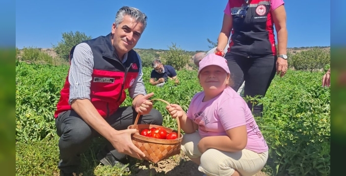 Yamanlar domates üreticileri tarlada buluştu