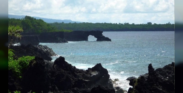 Yeni Gine yassı solucanı, Samoa'da ekolojik felakete yol açtı