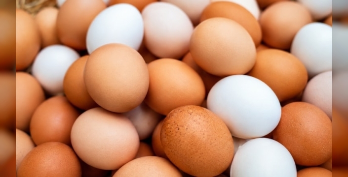 Yumurtalarda salmonella alarmı: 306 kişi hastalandı