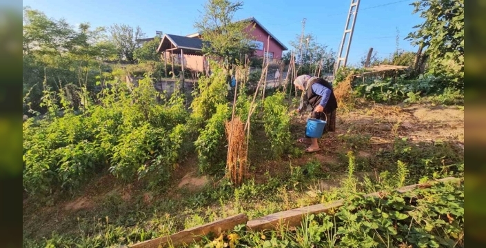 81 yaşında sanatçı: Ermiş 44 tablo yaptı