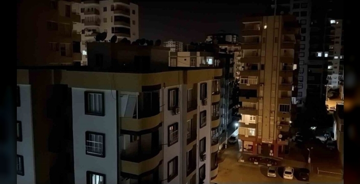 Adana'da cırcır böceği sesleri vatandaşları rahatsız ediyor
