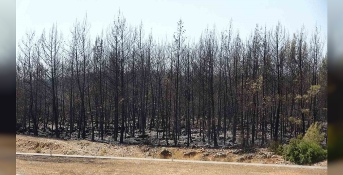 Antalya'da 4 gün süren orman yangını kontrol altına alındı