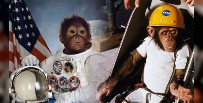 Apollo 11 öncesi NASA'nın gizli maymun deneyi