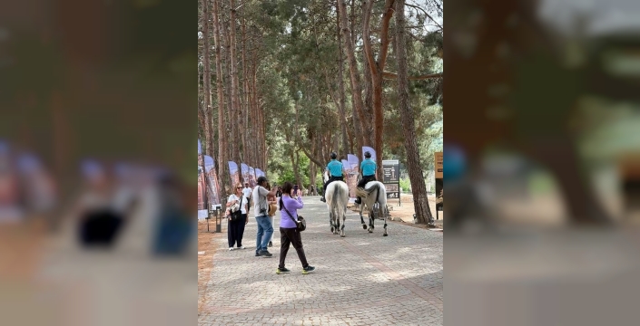 Atlı jandarma ekipleri sahillerde göreve başladı