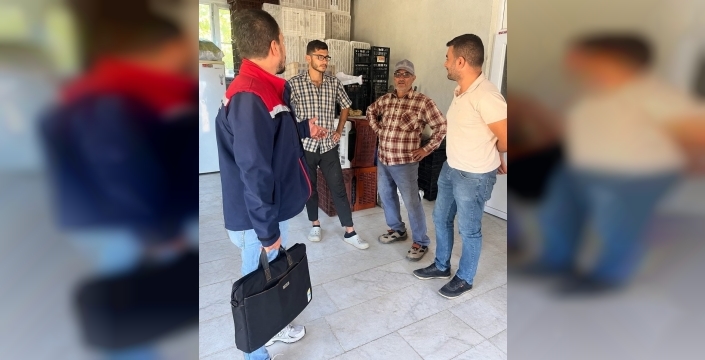 Aydın inciri için sahada denetimler başladı