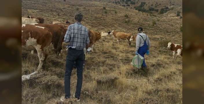 Aydıntepe'de hayvan yetiştiricilerine yonca uyarısı yapıldı