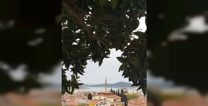Ayvalık, Balıkesir'in en kalabalık 5'inci ilçesi oldu