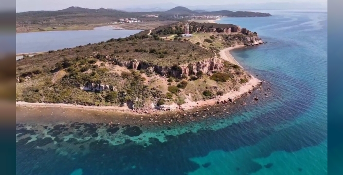 Badavut Sahili'ndeki kum zambakları ahşap kafeslerle koruma altında