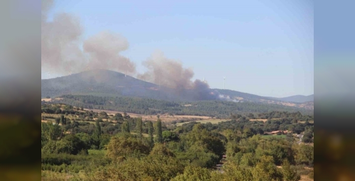 Bayramiç'te orman yangını 8 hektar alanı kül etti