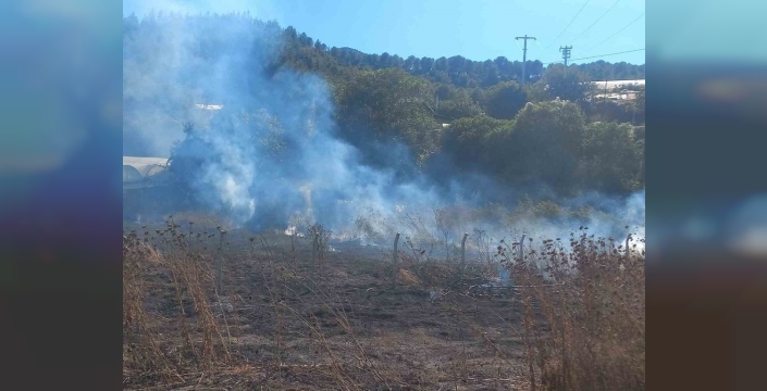 Bilecik’teki ot yangını sera ve depo alanına sıçradı