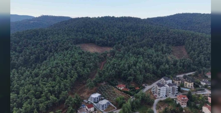 Bursa'da mahalle sakinleri ayı paniği yaşadı