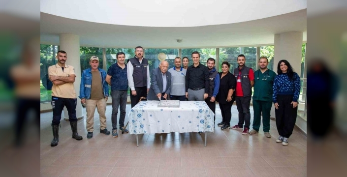 Bursa hayvanat bahçesi'nde yavru kaplan doğdu