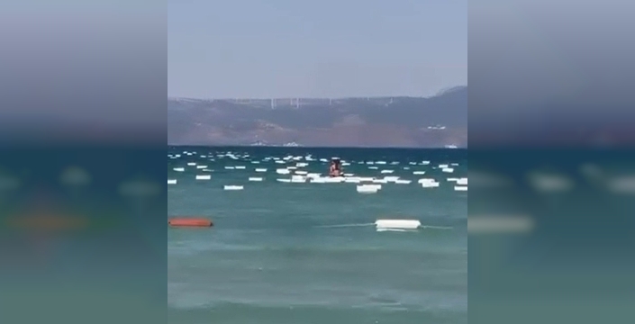 Çeşme sahillerini köpük kutular kapladı