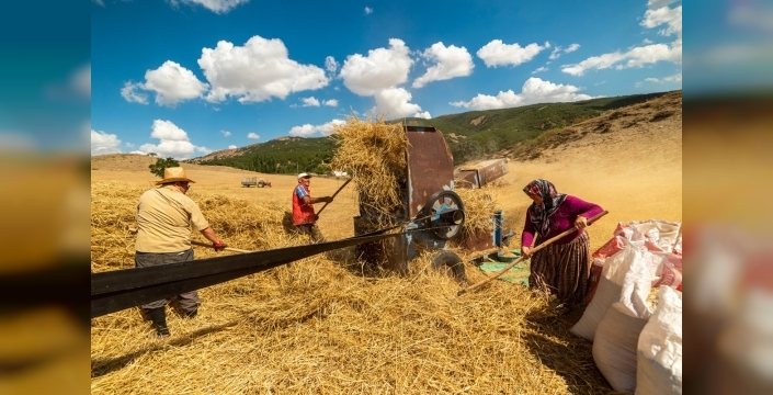 Çiftçi, 1 litre benzine 6 kilo buğday satmak zorunda