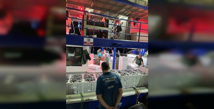 Didim'de balıkçılara hamsi kotası denetimi