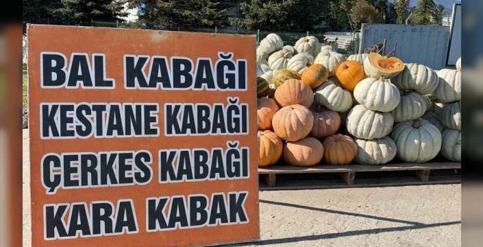 Düzce kabağı, uluslararası pazarlara açıldı