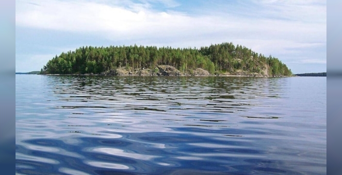 Finlandiya'da su altı ekosistemine ladin ağaçları entegre edildi