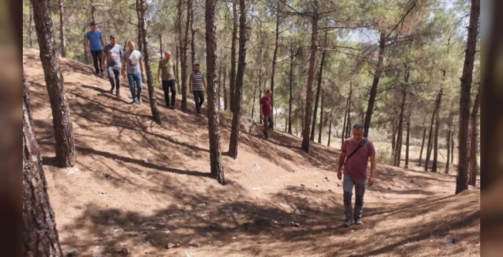 Finlandiya ormanına turizm için altın saklandı
