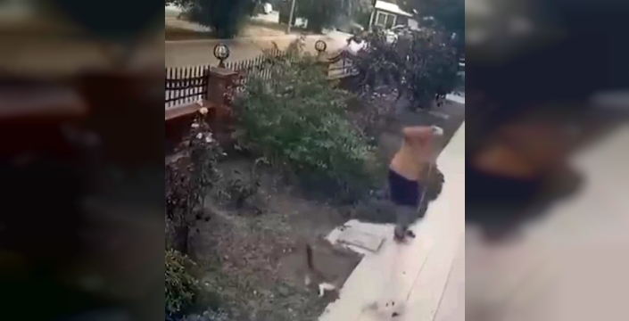 İzmir'de köpekle dışarı çıkan kişi, yavrulu kediye saldırdı