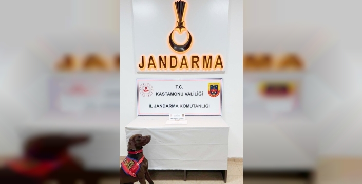 Kastamonu'da uyuşturucu operasyonu: 2 kişi tutuklandı