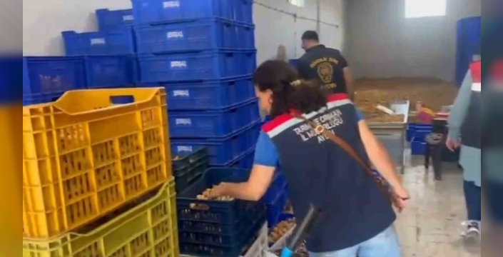 Köşk'te 20 milyon liralık etiketsiz incir ele geçirildi