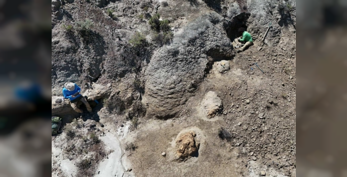 Kuzey Dakota'da dev T. rex ayak izleri keşfedildi