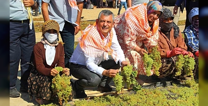 Manisa'da üzüm üreticileri düşük alım fiyatı nedeniyle mağdur